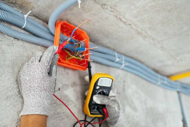 Best Electrical System Inspection  in Coldwater, MI